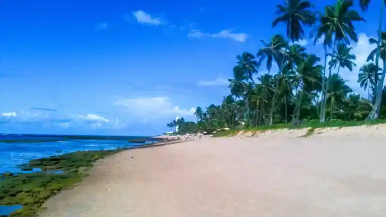 O Que Fazer em um Dia na Praia do Forte