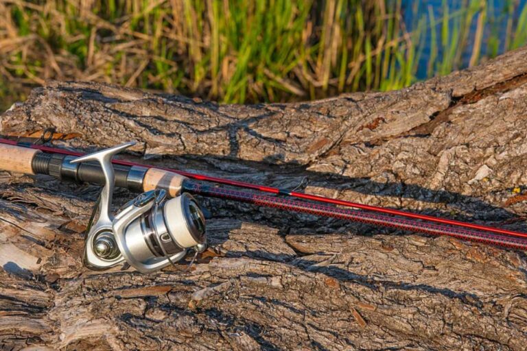 Vara de Pesca para Carretilha: Como Escolher a Melhor Opção para Você